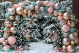 Christmas Festive Balloon Arch Backdrop RR7-576