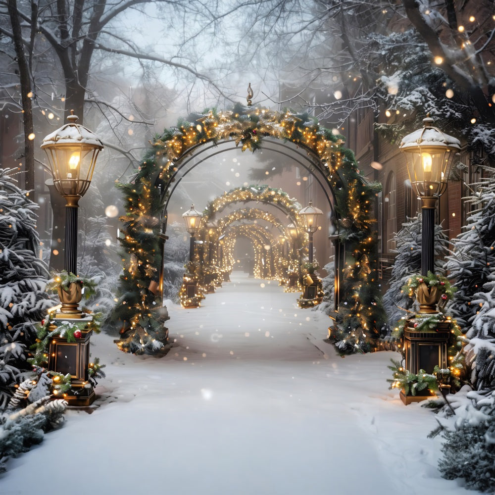 Christmas Enchanted Lantern Archway Backdrop RR7-587