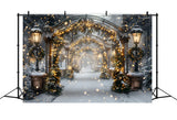 Christmas Magical Light Tunnel Backdrop RR7-588