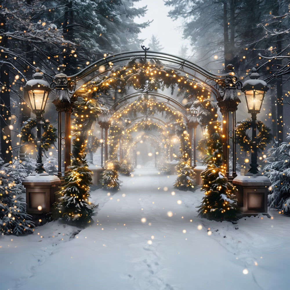 Christmas Magical Light Tunnel Backdrop RR7-588