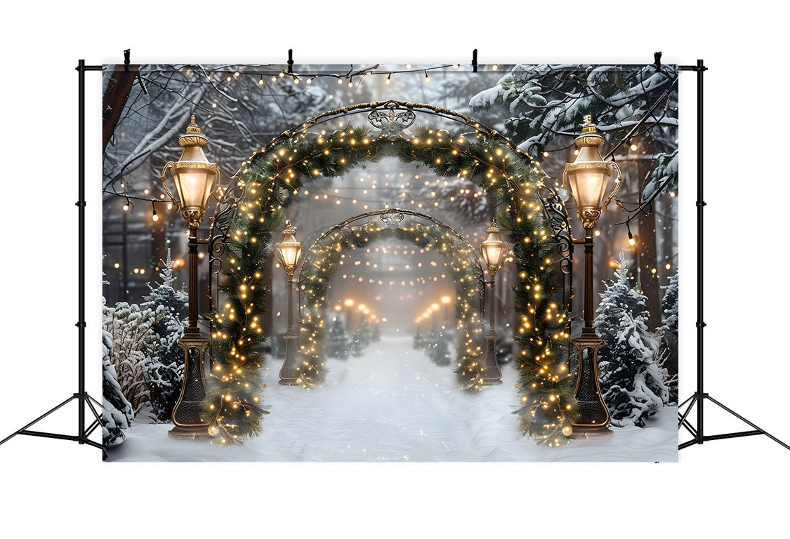 Christmas Sparkling Archway Path Backdrop RR7-589