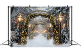 Christmas Sparkling Archway Path Backdrop RR7-589