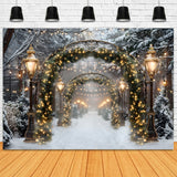 Christmas Sparkling Archway Path Backdrop RR7-589