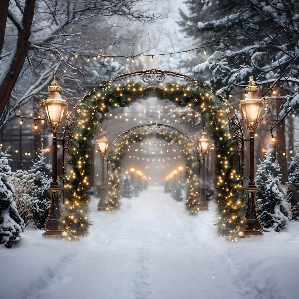 Christmas Sparkling Archway Path Backdrop RR7-589