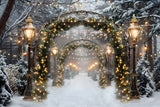 Christmas Sparkling Archway Path Backdrop RR7-589