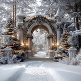 Christmas Enchanted Archway Wonderland Backdrop RR7-591