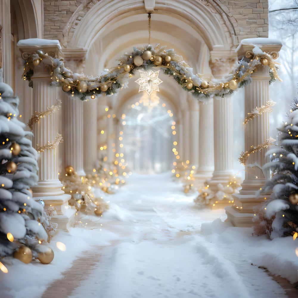 Christmas Winter Palace Walkway Backdrop RR7-612