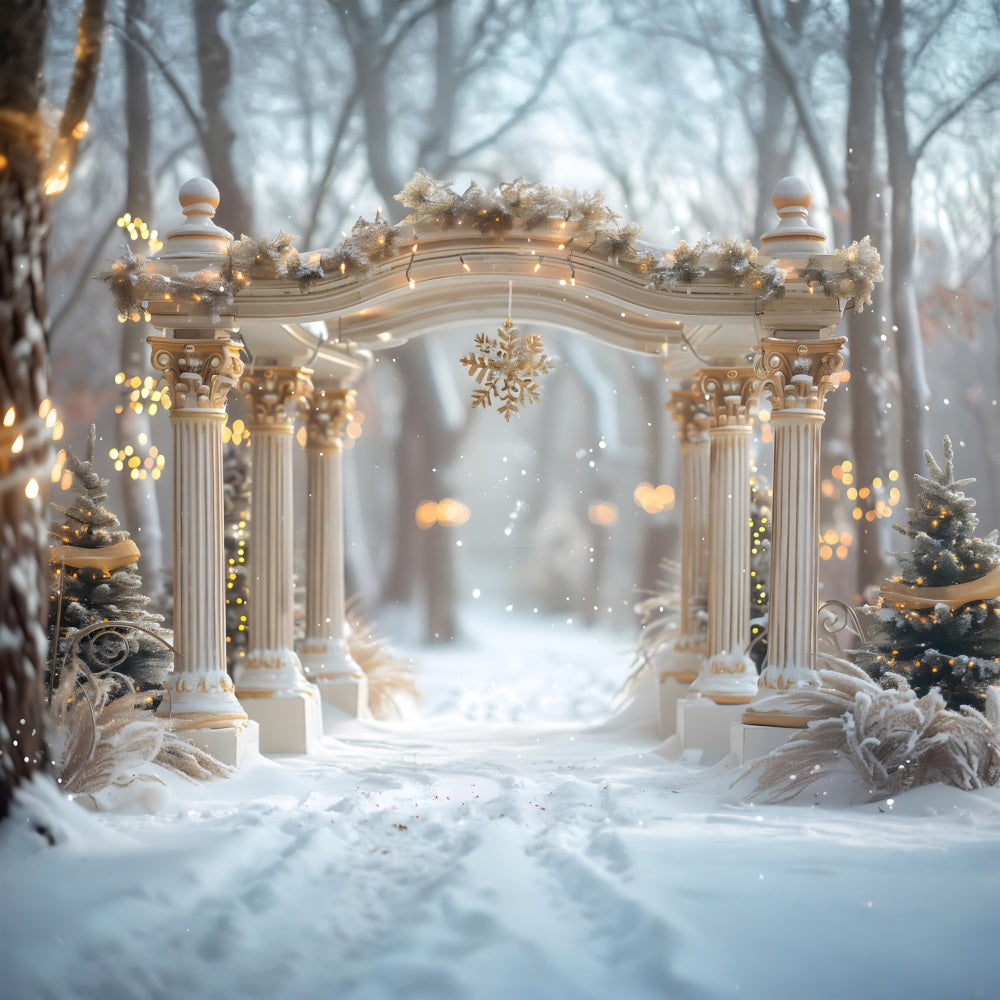 Christmas Snowflake Archway Wonderland Backdrop RR7-613