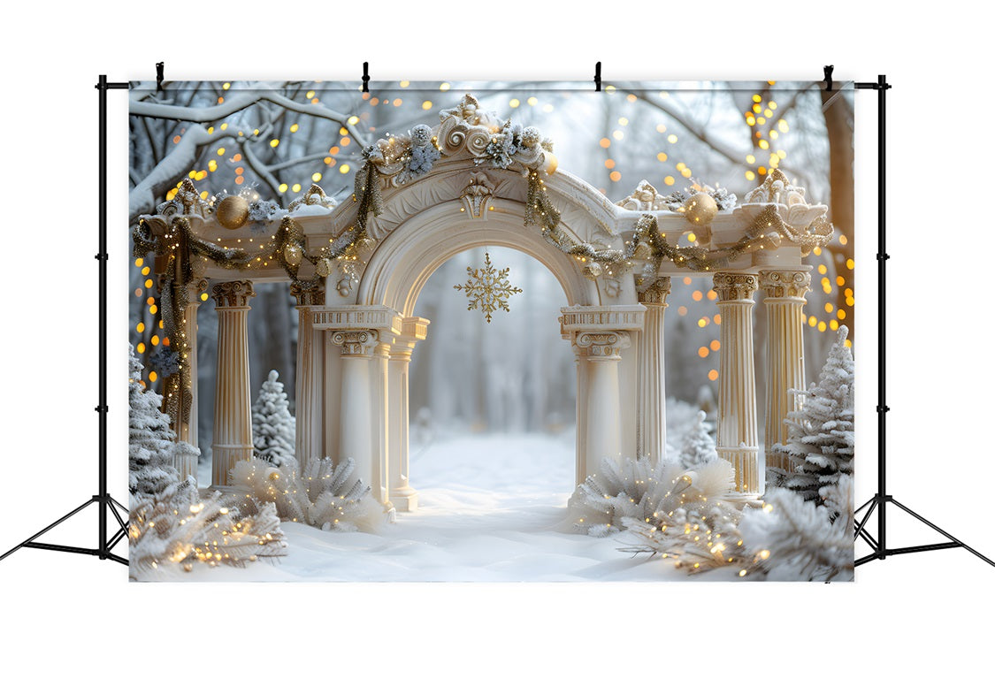 Christmas Elegant Archway with Snowflake Backdrop RR7-614