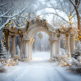 Christmas Elegant Archway with Snowflake Backdrop RR7-614