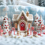 Christmas Candyland Gingerbread House Backdrop RR7-657