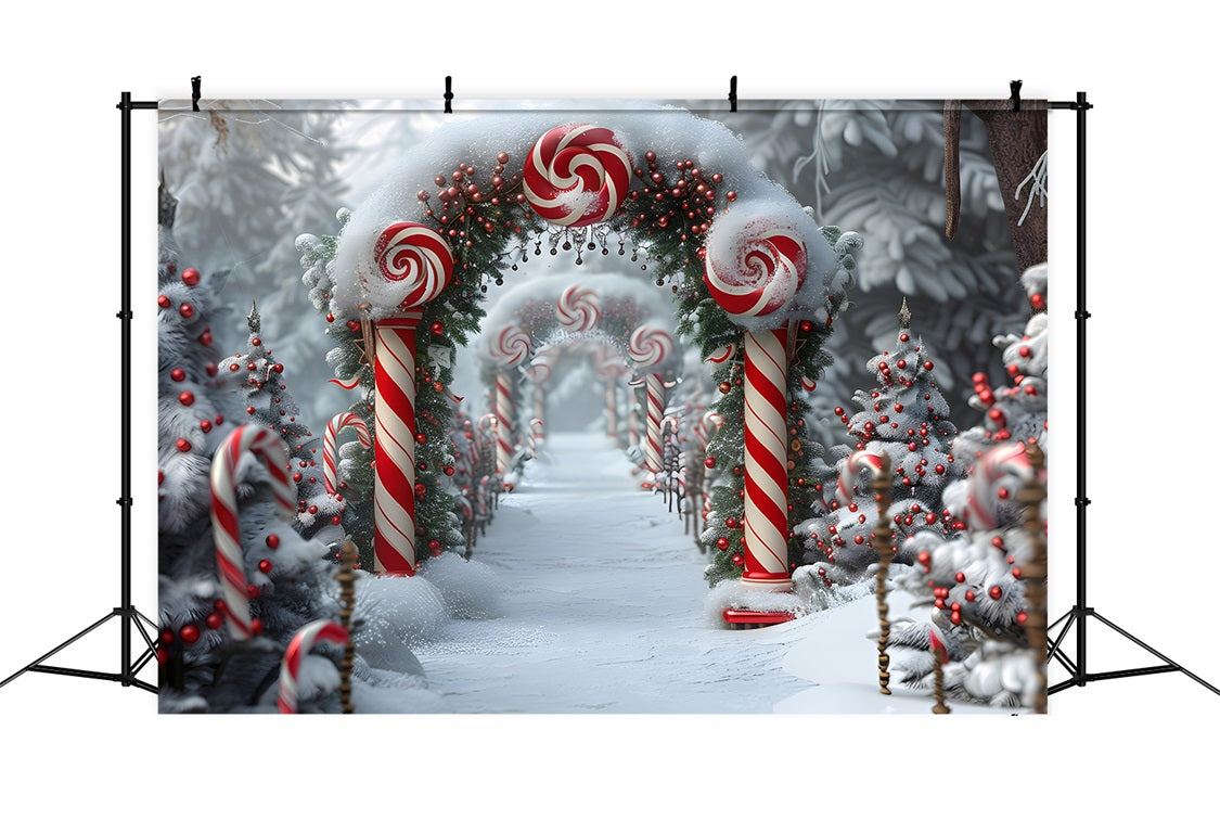 Christmas Candy Cane Wonderland Backdrop RR7-672