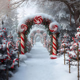 Christmas Candy Cane Wonderland Backdrop RR7-672