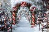 Christmas Candy Cane Wonderland Backdrop RR7-672