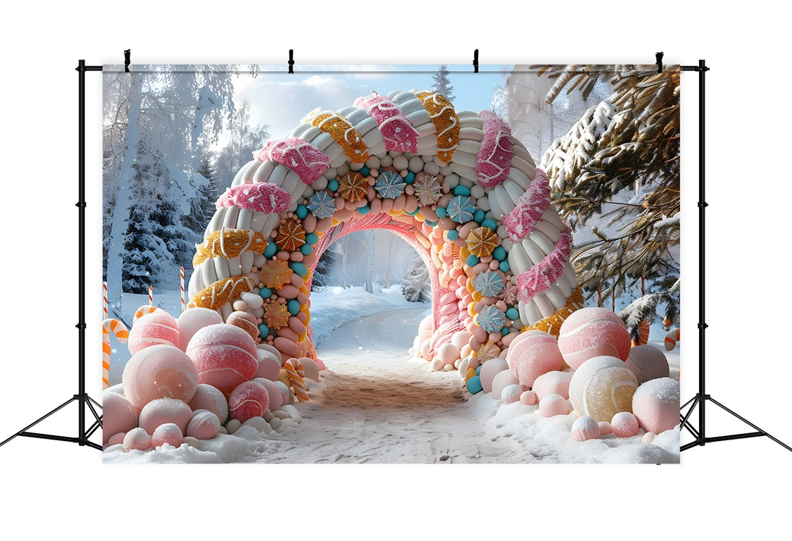 Christmas Rustic Arched Doorway Wreath Backdrop RR7-700