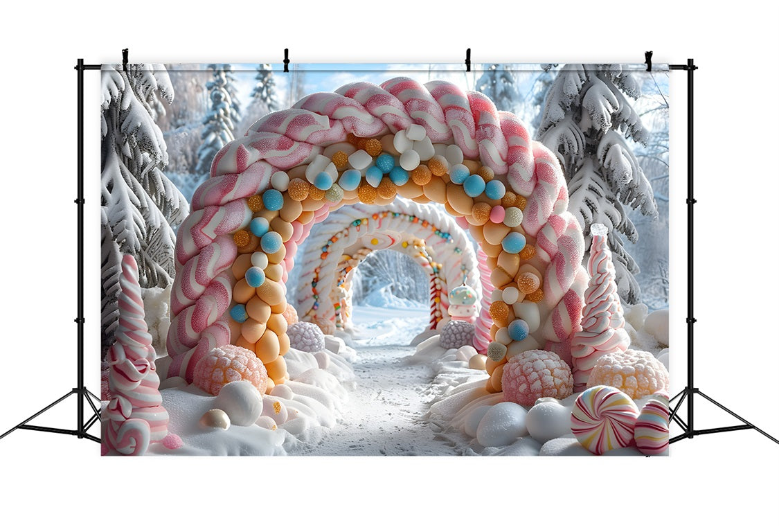 Christmas Arched Doorway Snowy Decor Backdrop RR7-702