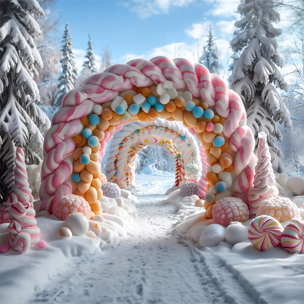 Christmas Arched Doorway Snowy Decor Backdrop RR7-702