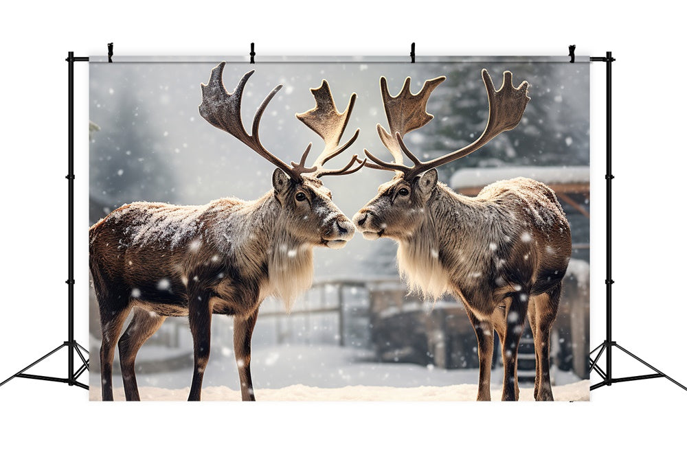 Christmas Reindeer Winter Snow Backdrop RR7-746