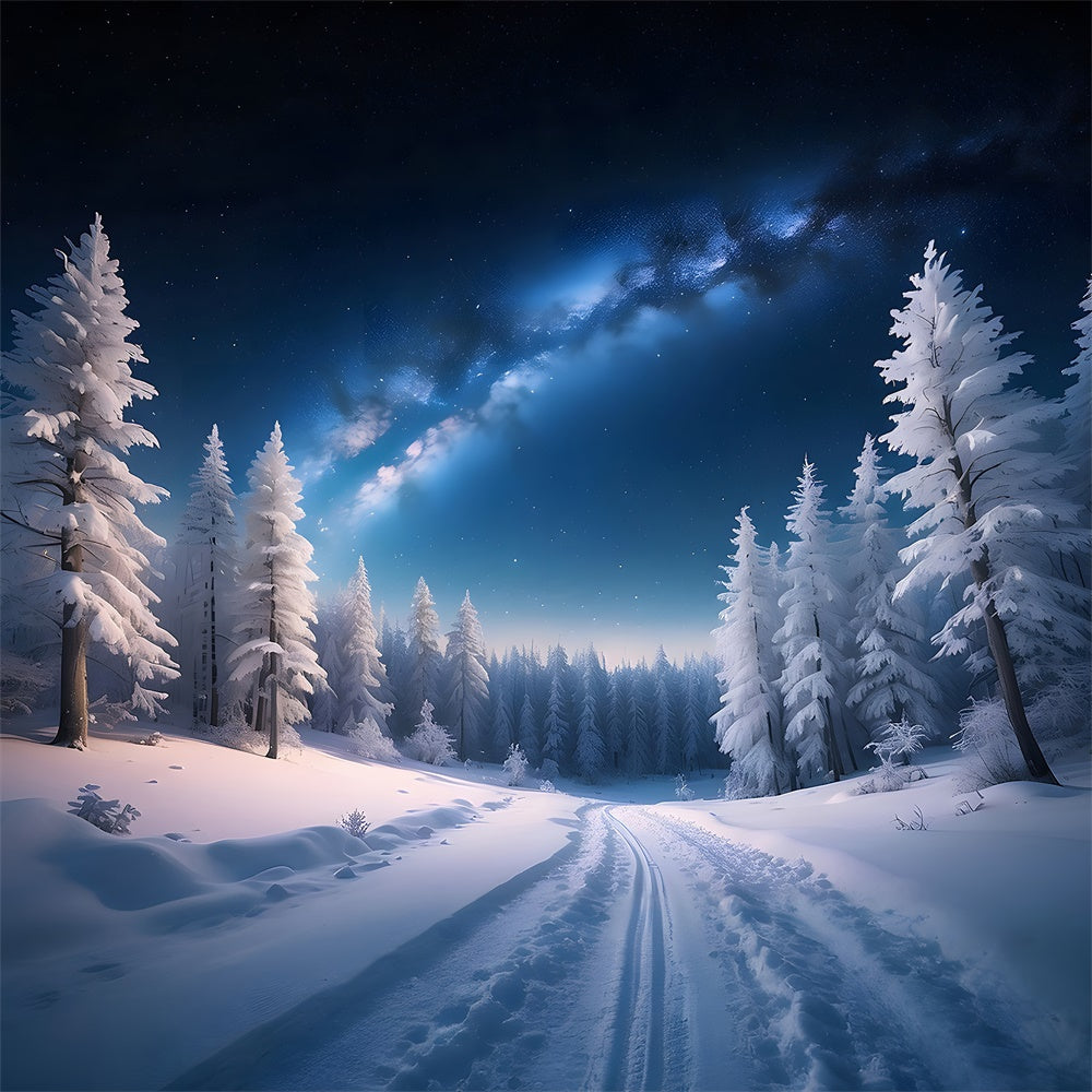 Winter Christmas Night Snow Forest Backdrop RR7-771