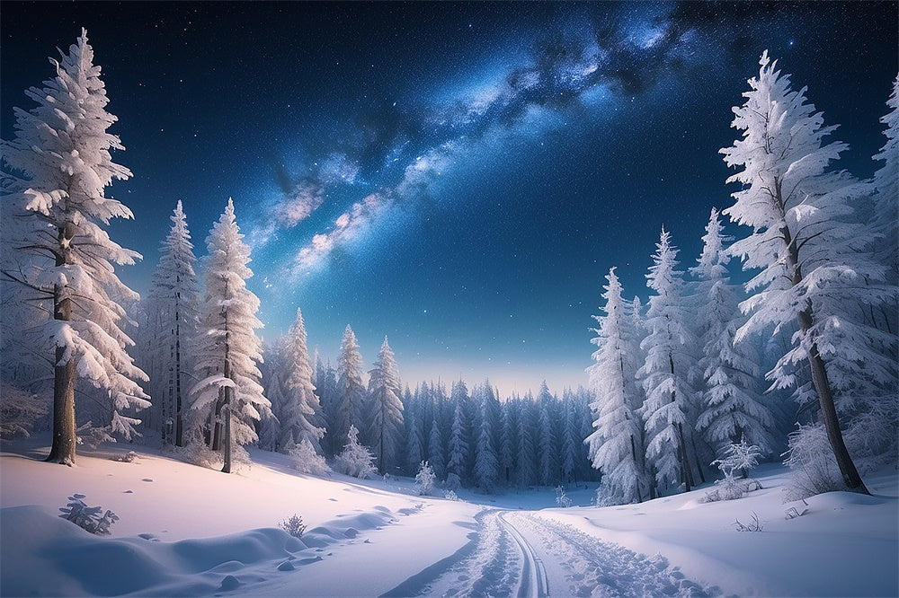 Winter Christmas Night Snow Forest Backdrop RR7-771