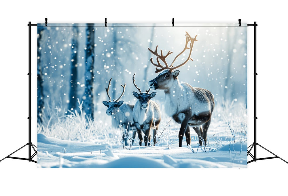 Christmas Reindeer Winter Snowy Forest Backdrop RR7-773