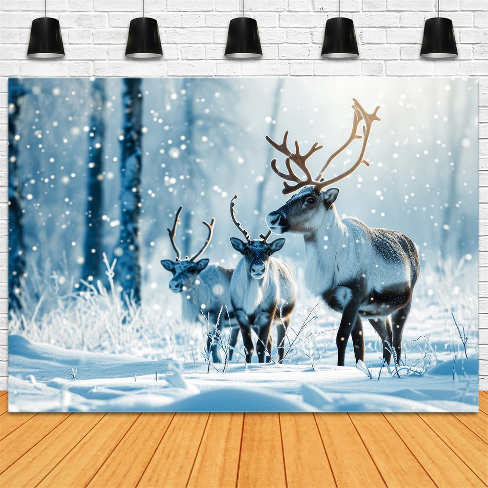 Christmas Reindeer Winter Snowy Forest Backdrop RR7-773