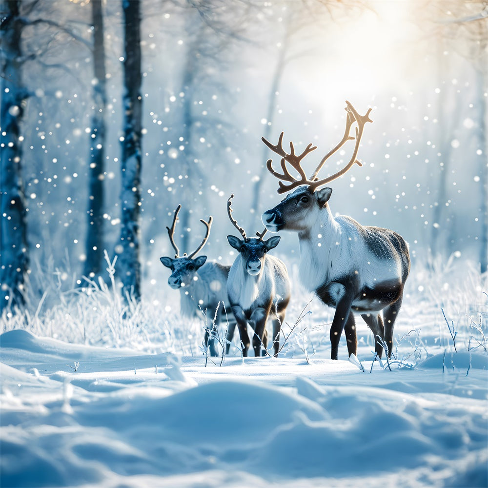 Christmas Reindeer Winter Snowy Forest Backdrop RR7-773