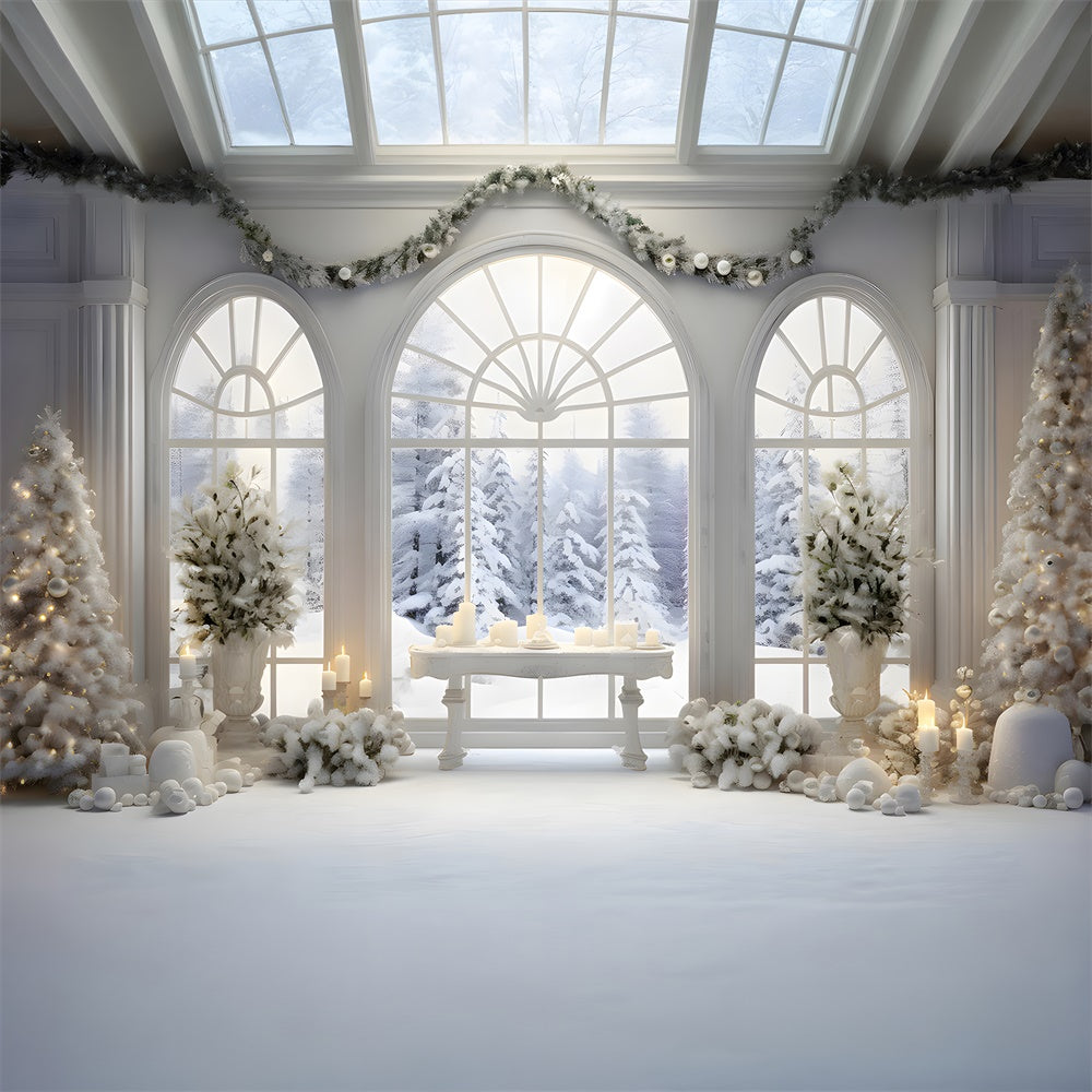 Christmas Window Snowy Fir Trees Backdrop RR7-779