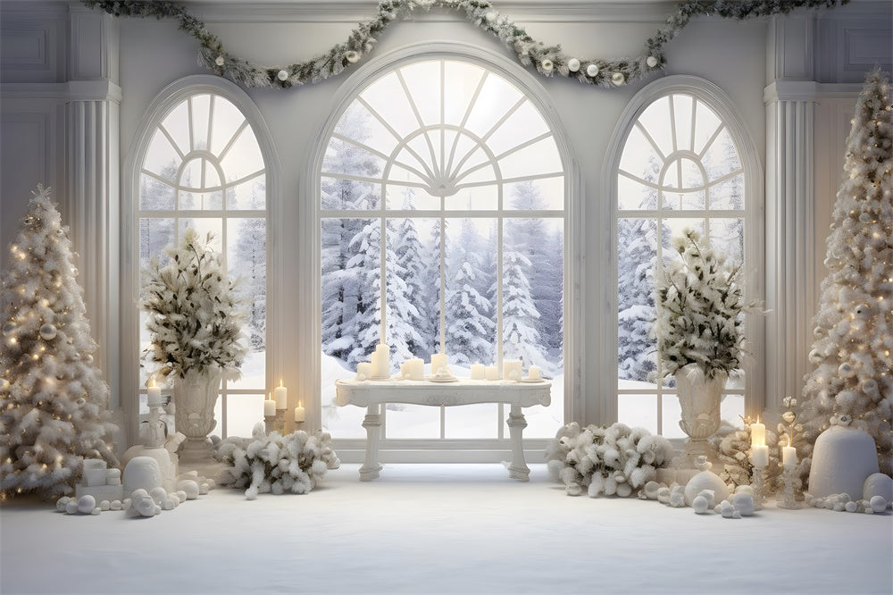 Christmas Window Snowy Fir Trees Backdrop RR7-779