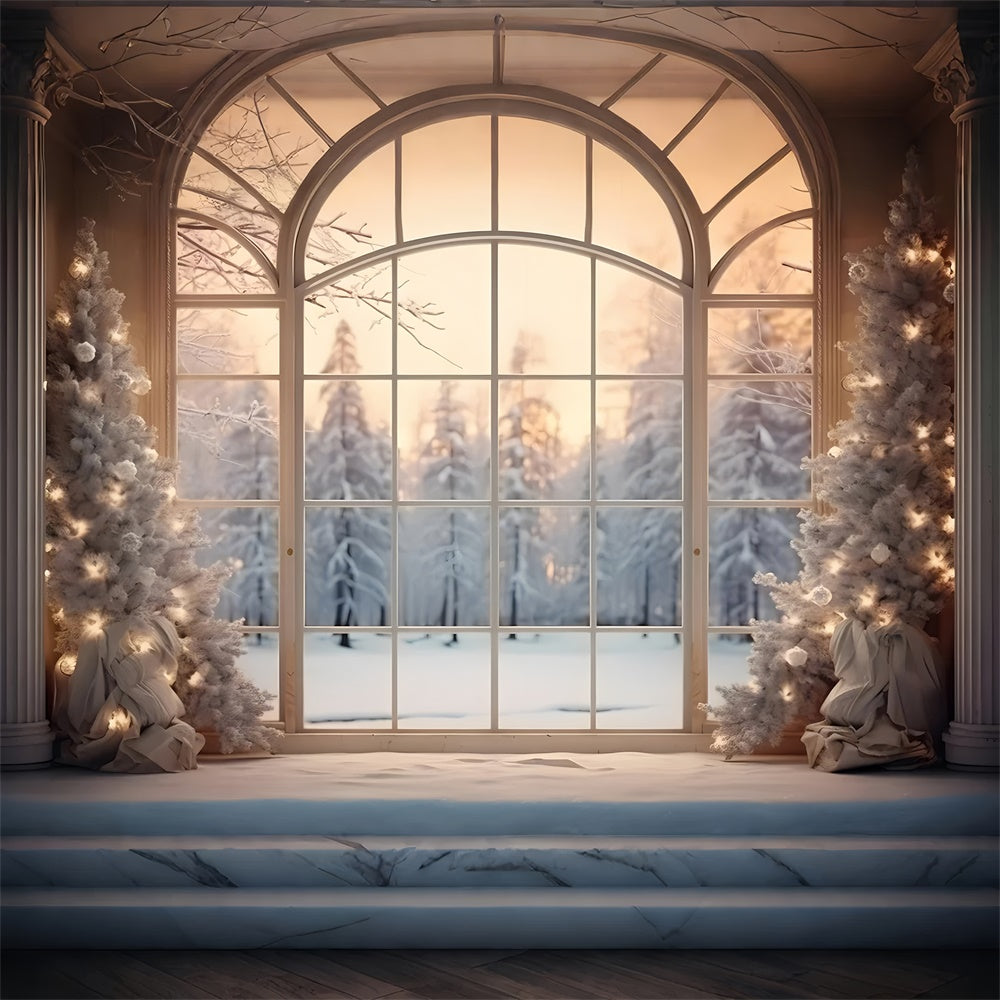 Christmas Tree Window Snow Forest Backdrop RR7-833