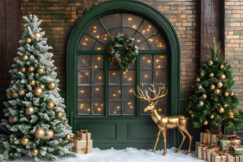 Christmas Glowing Window Reindeer Backdrop RR8-104