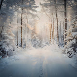 Christmas Serene Snowy Forest Morning Backdrop RR8-156