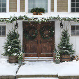 Christmas Snowflake Wooden Door Backdrop RR8-17