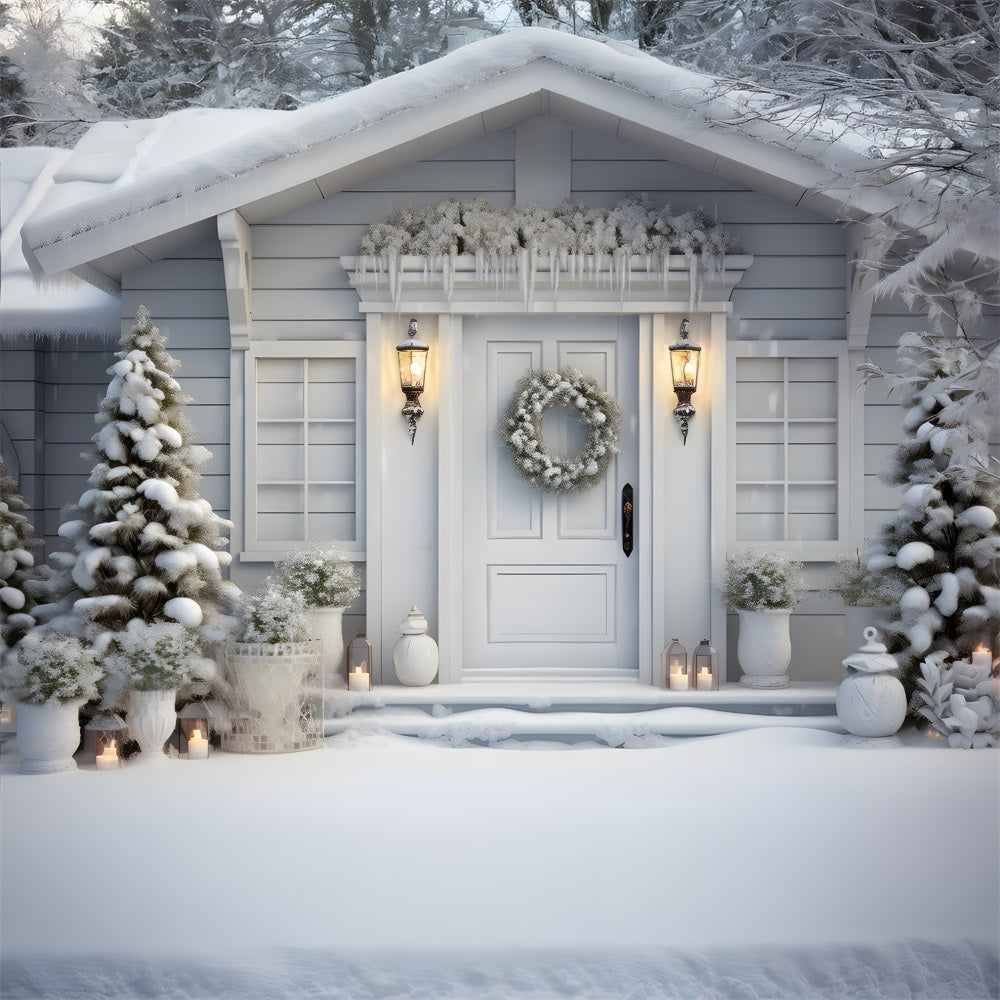 Christmas Winter White Cottage Backdrop RR8-188