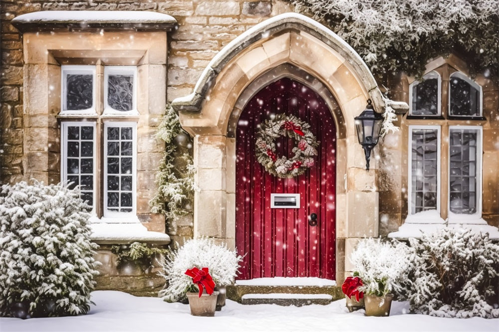 Christmas Snowy Red Doorway Wreath Backdrop RR8-195