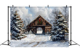 Christmas Snow Covered Woods Cabin Backdrop RR8-22