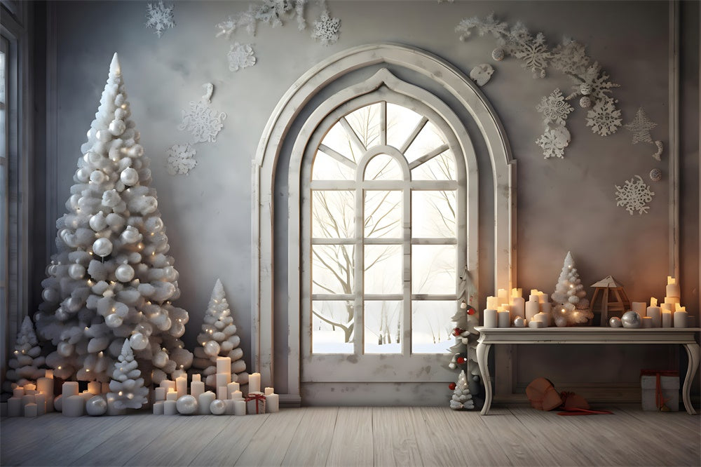 Christmas Arched Window Snowflake Backdrop RR8-224