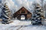 Christmas Snow Covered Woods Cabin Backdrop RR8-22