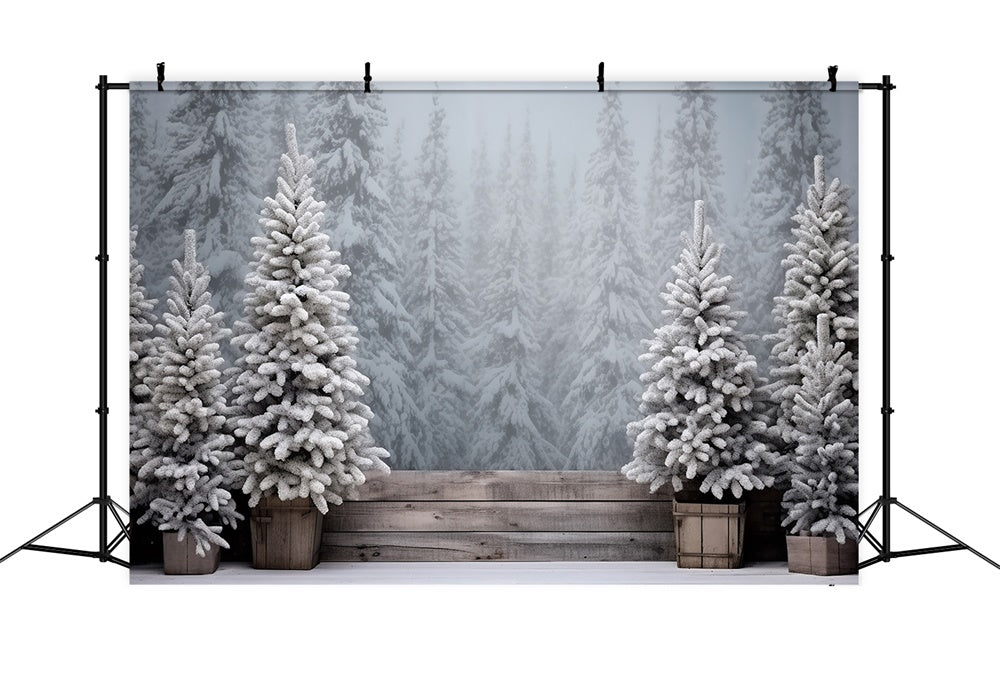 Christmas Snowy Forest Frosted Trees Backdrop RR8-247