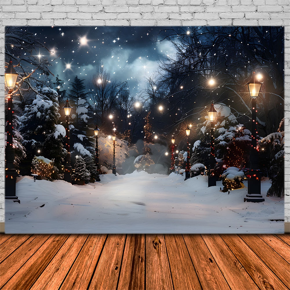 Christmas Snow Covered Trees Lights Backdrop RR8-28