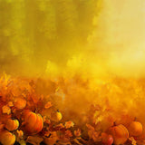 Golden Pumpkins Amid Leaves Floor Backdrop RR8-281