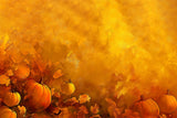 Golden Pumpkins Amid Leaves Floor Backdrop RR8-281