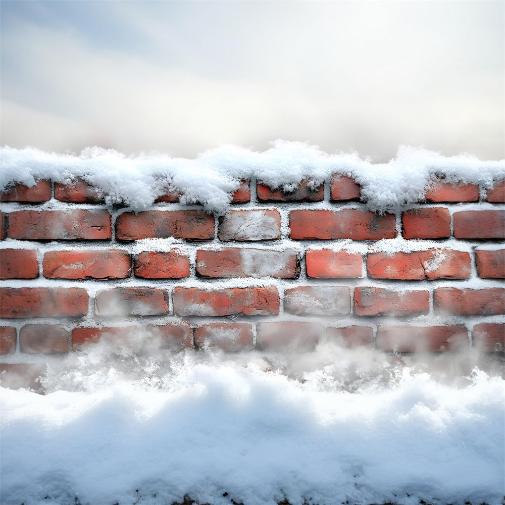 Frosted Brick Wall Snowy Floor Backdrop RR8-287