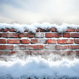 Frosted Brick Wall Snowy Floor Backdrop RR8-287