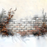 Winter Snow Frosted Brick Wall Floor Backdrop RR8-290