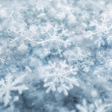 Winter Snowflakes Frosted Floor Backdrop RR8-292