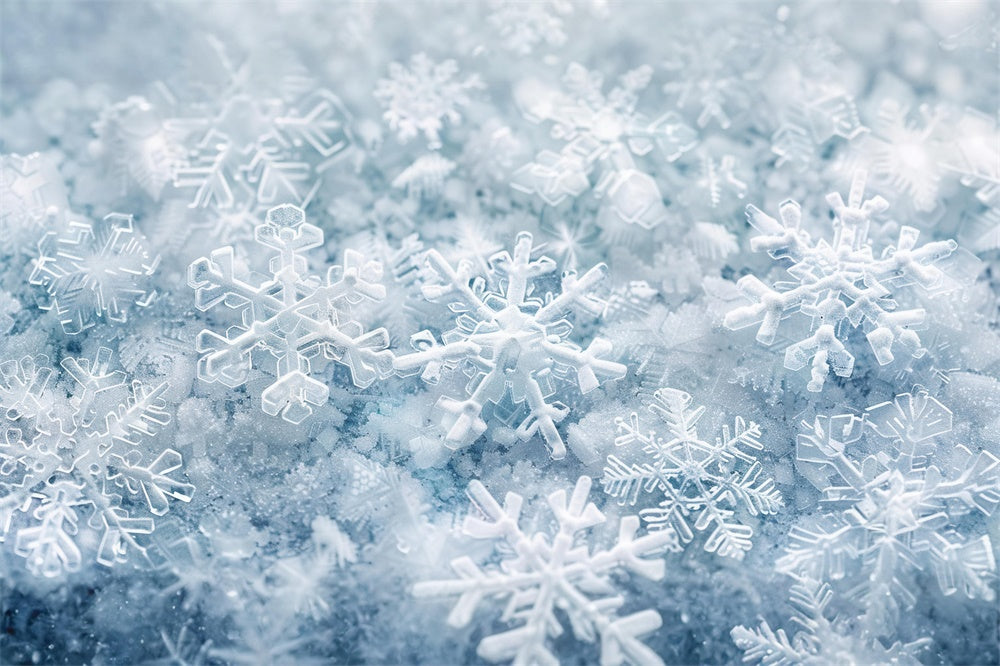 Winter Snowflakes Frosted Floor Backdrop RR8-292