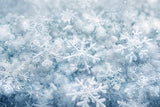 Winter Snowflakes Frosted Floor Backdrop RR8-292