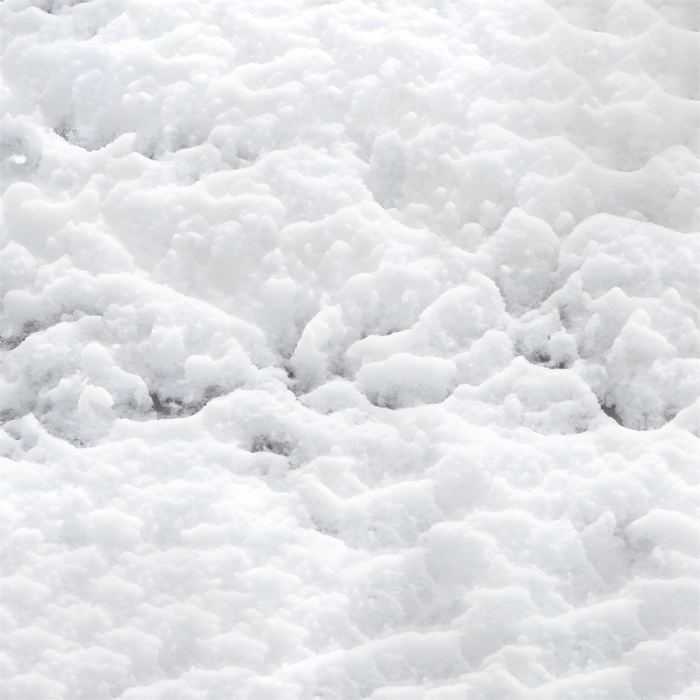 Winter Snow Covering Fabric Floor Backdrop RR8-293