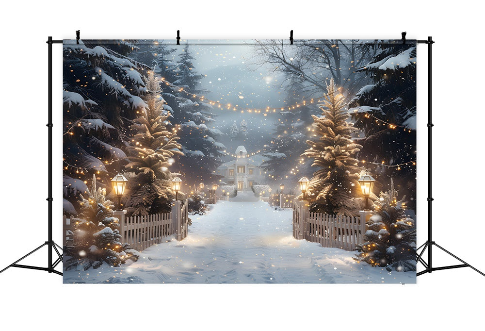 Christmas String Lights Woods House Backdrop RR8-30